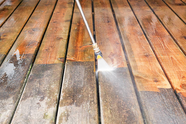 Best Roof Pressure Washing  in Koontz Lake, IN